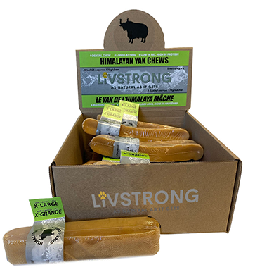Livstrong Yak Chew X-Large Plain