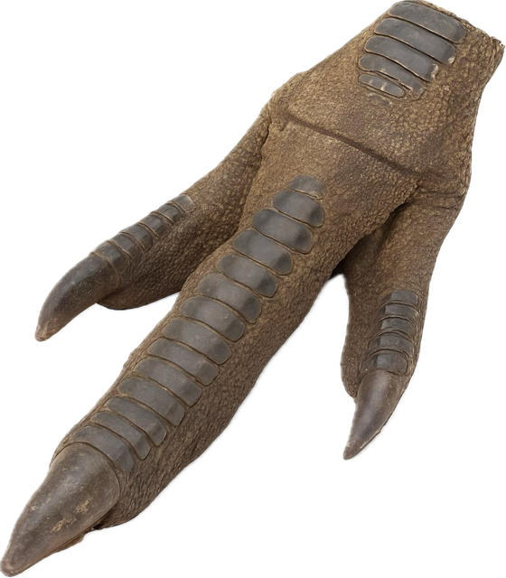 Emu foot