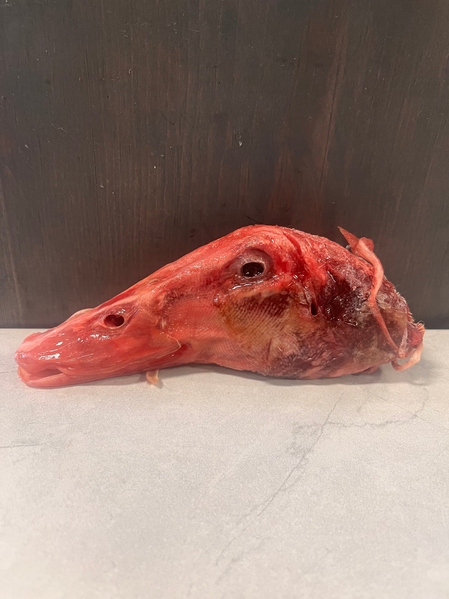 Duck Head (Raw) - 5 Pieces for $10