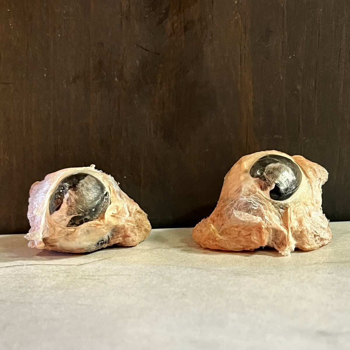 Freeze Dried Pork Eyes - Per Piece