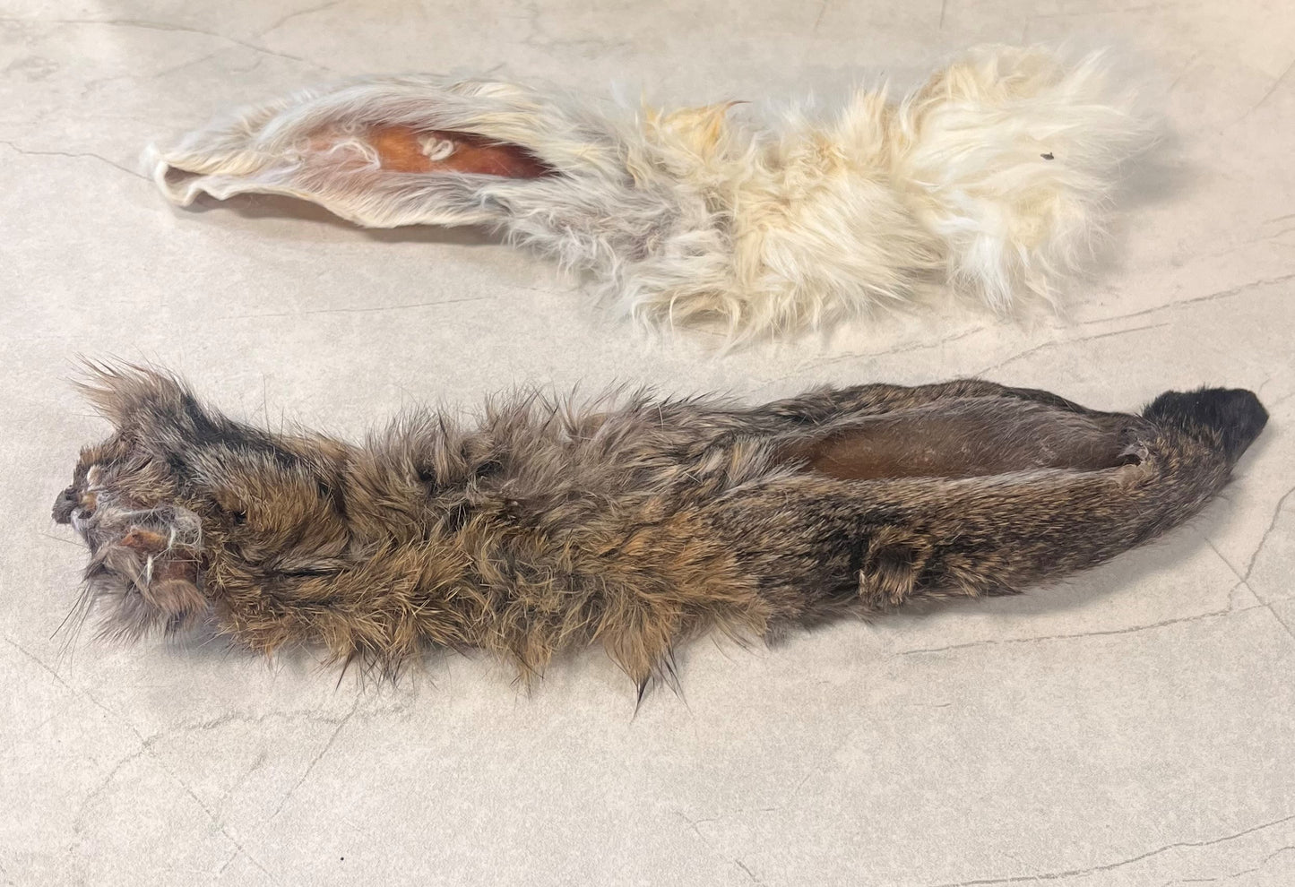 Large Dehydrated Rabbit Ears (Individual)
