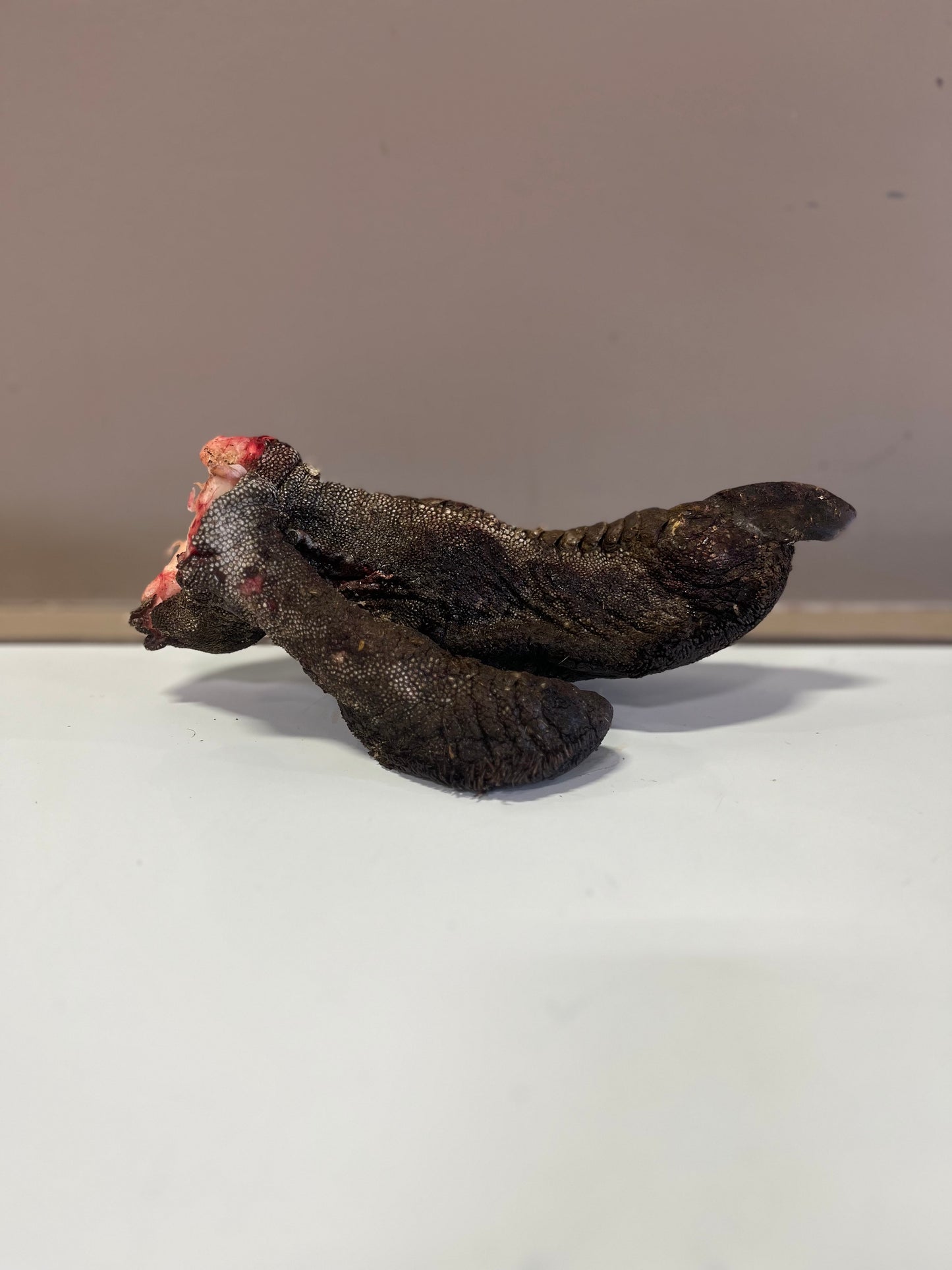 Ostrich Foot (per piece)