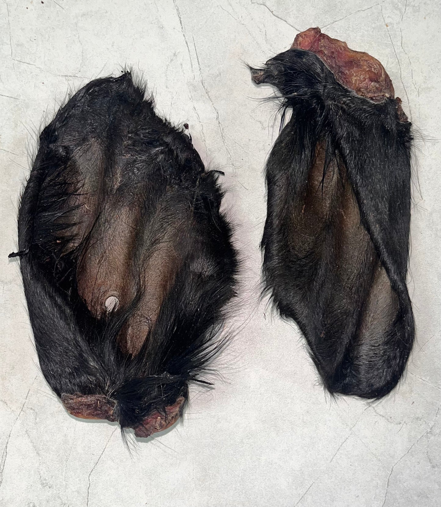Dehydrated Beef Ears