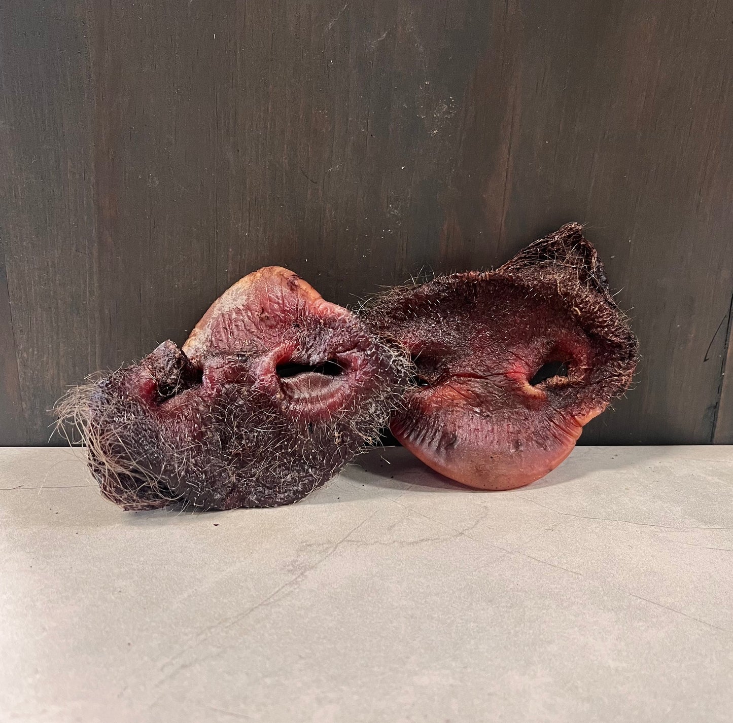 Dehydrated Pork Snouts