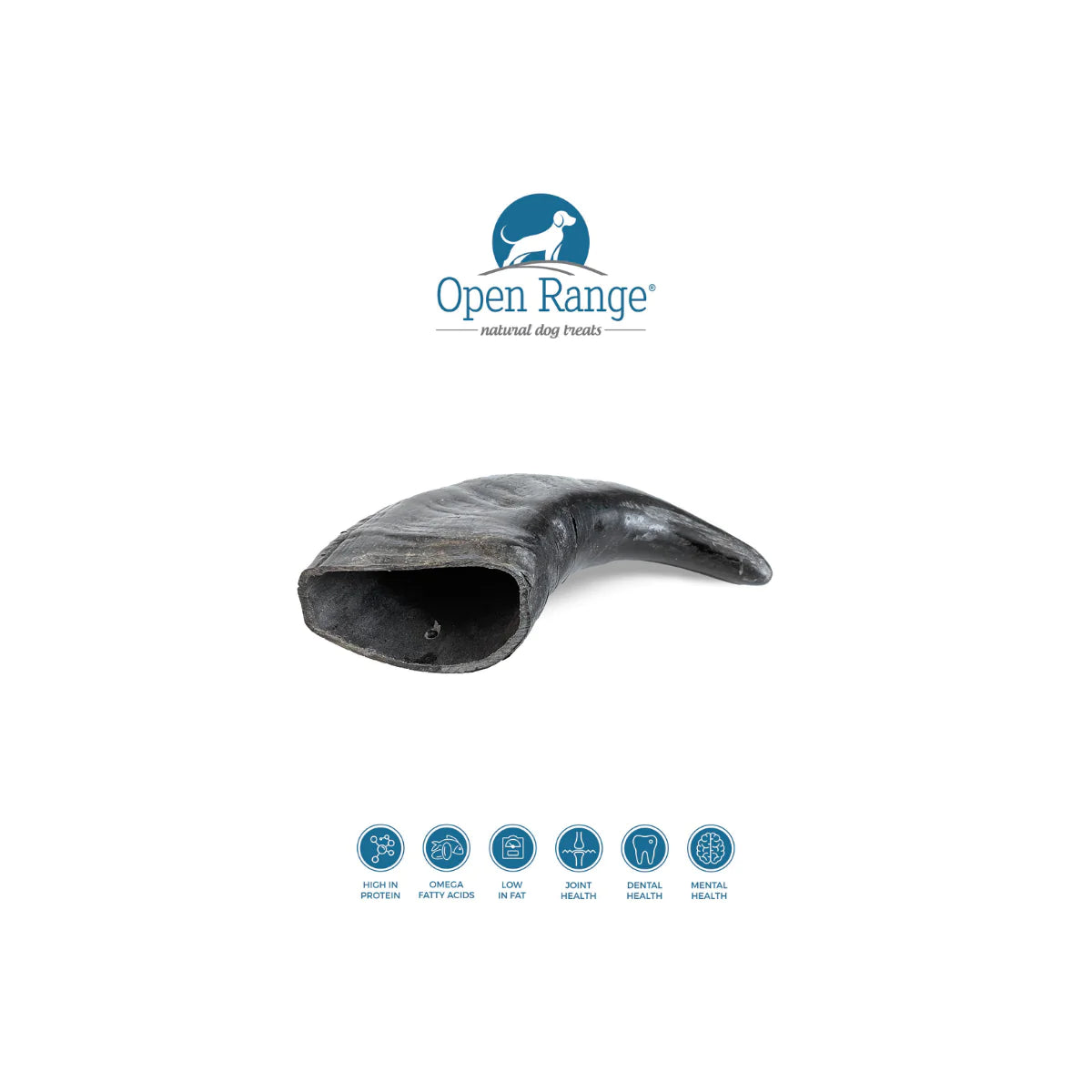 Open Range Water Buffalo Horn Large