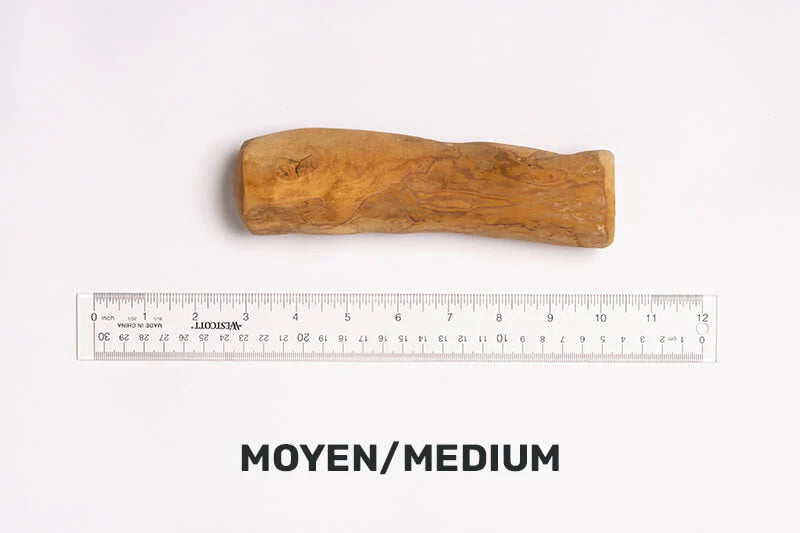 Jawgler - Java Wood Chew Maple - Medium ( formerly Dentler )