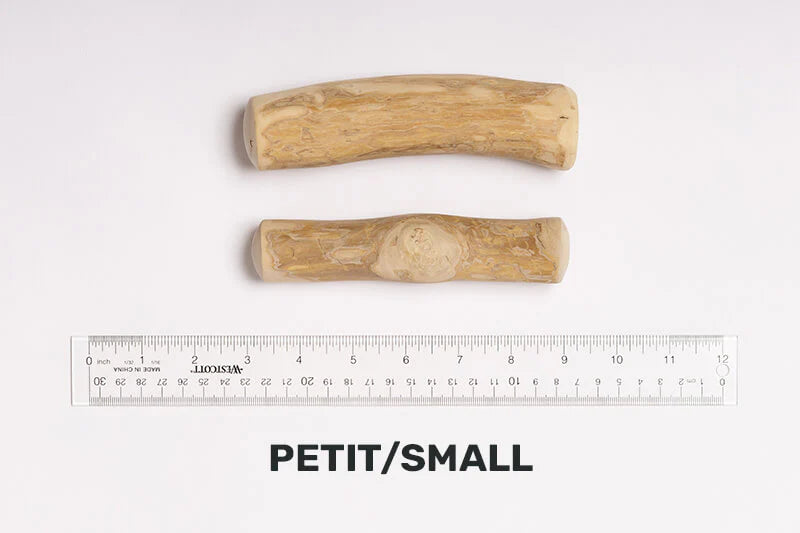 Jawgler - Java Wood Chew Plain - Small ( formerly Dentler )