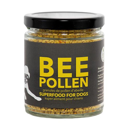 bee-pollen-superfood-for-dogs-479783_540x