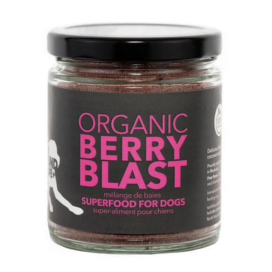 berry-blast-superfood-for-dogs-328128_540x