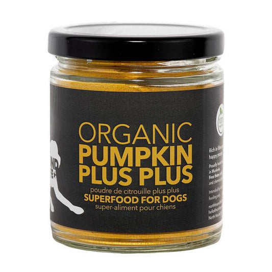 pumpkin-powder-plus-plus-superfood-for-dogs-432020_540x
