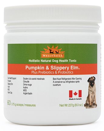 Welly Tails Pumpkin & Slippery Elm Plus Probiotics & Prebiotics