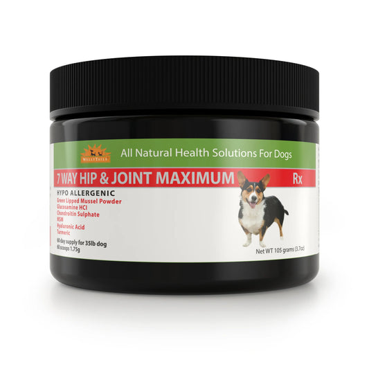 Welly Tails 7 Way Hip & Joint Maximum 105g