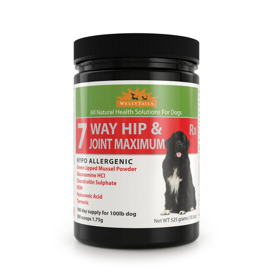 Welly Tails 7 Way Hip & Joint Maximum 525g