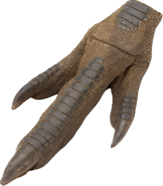 Emu foot