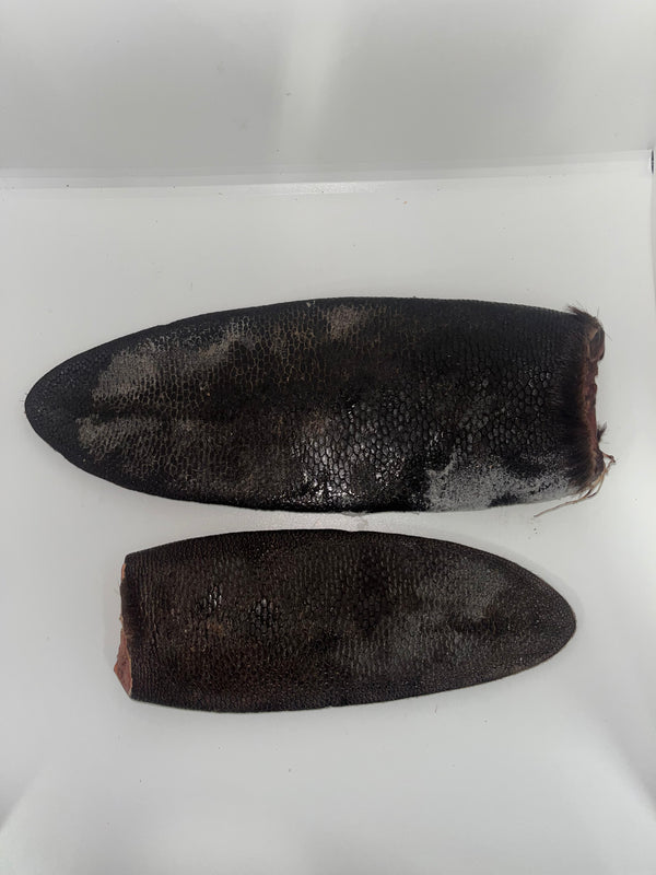 Beaver Tail – Heronview Raw and Natural