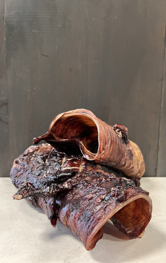Dehydrated Bison Windpipes