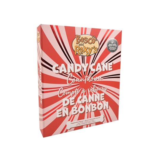 Musical Advent calendar for dogs