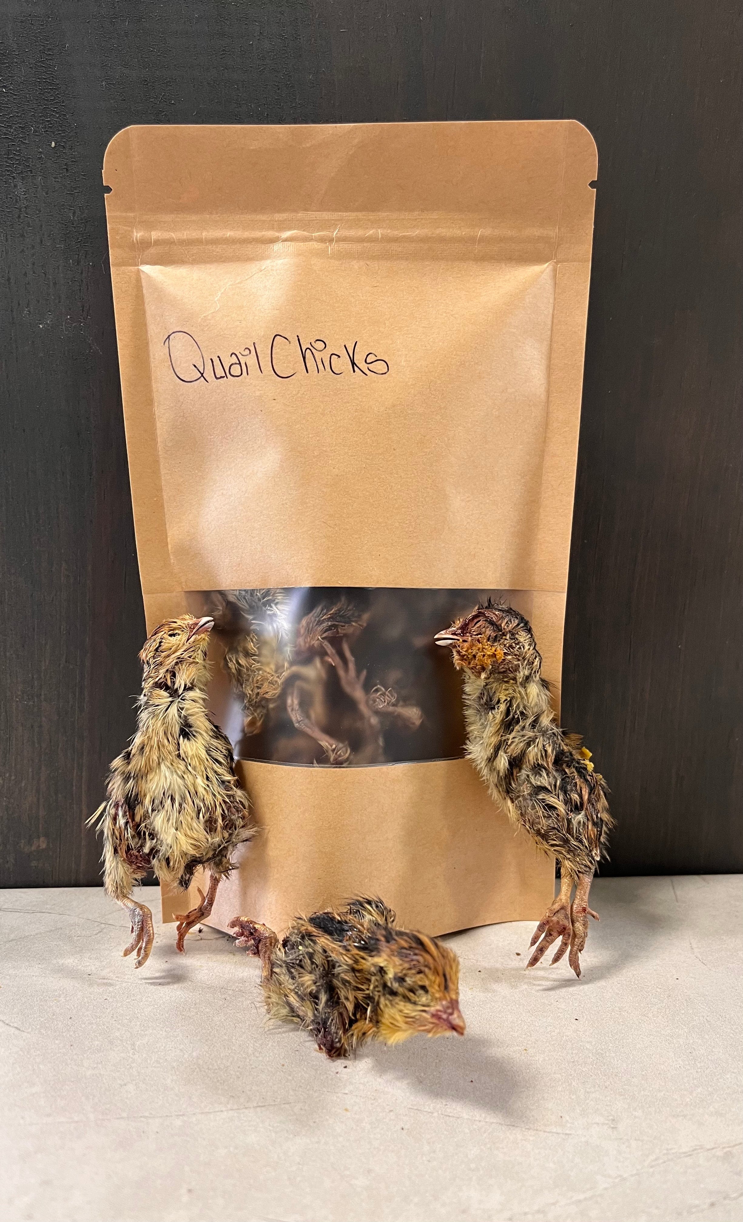 Freeze Dried Quail Chicks Heronview Raw And Natural freeze-dried-quail-chicks-heronview-raw-and-natural