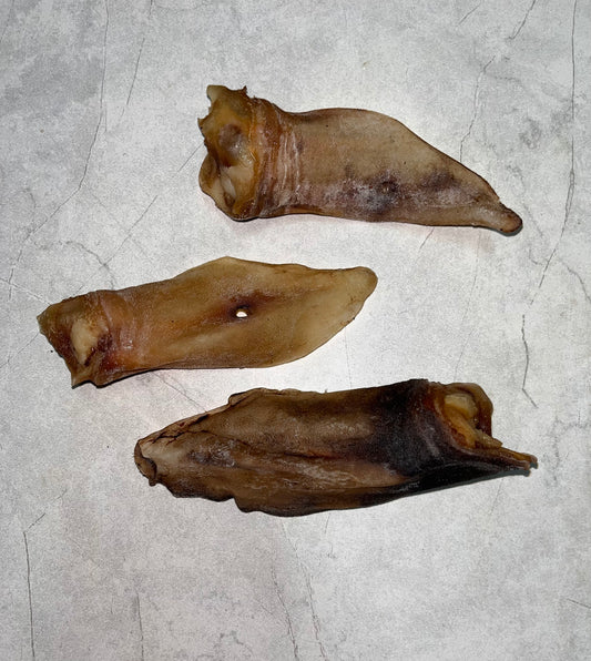 Hairless Lamb Ears