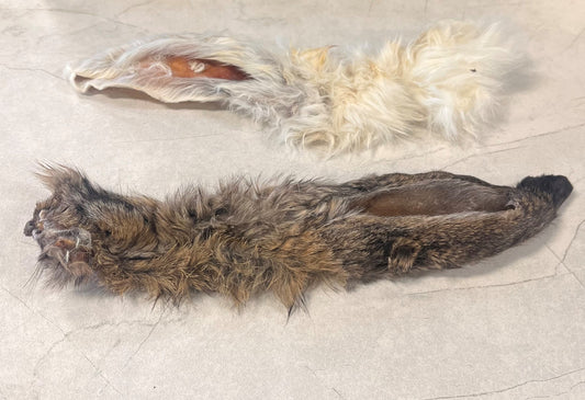 Large Dehydrated Rabbit Ears (Individual)