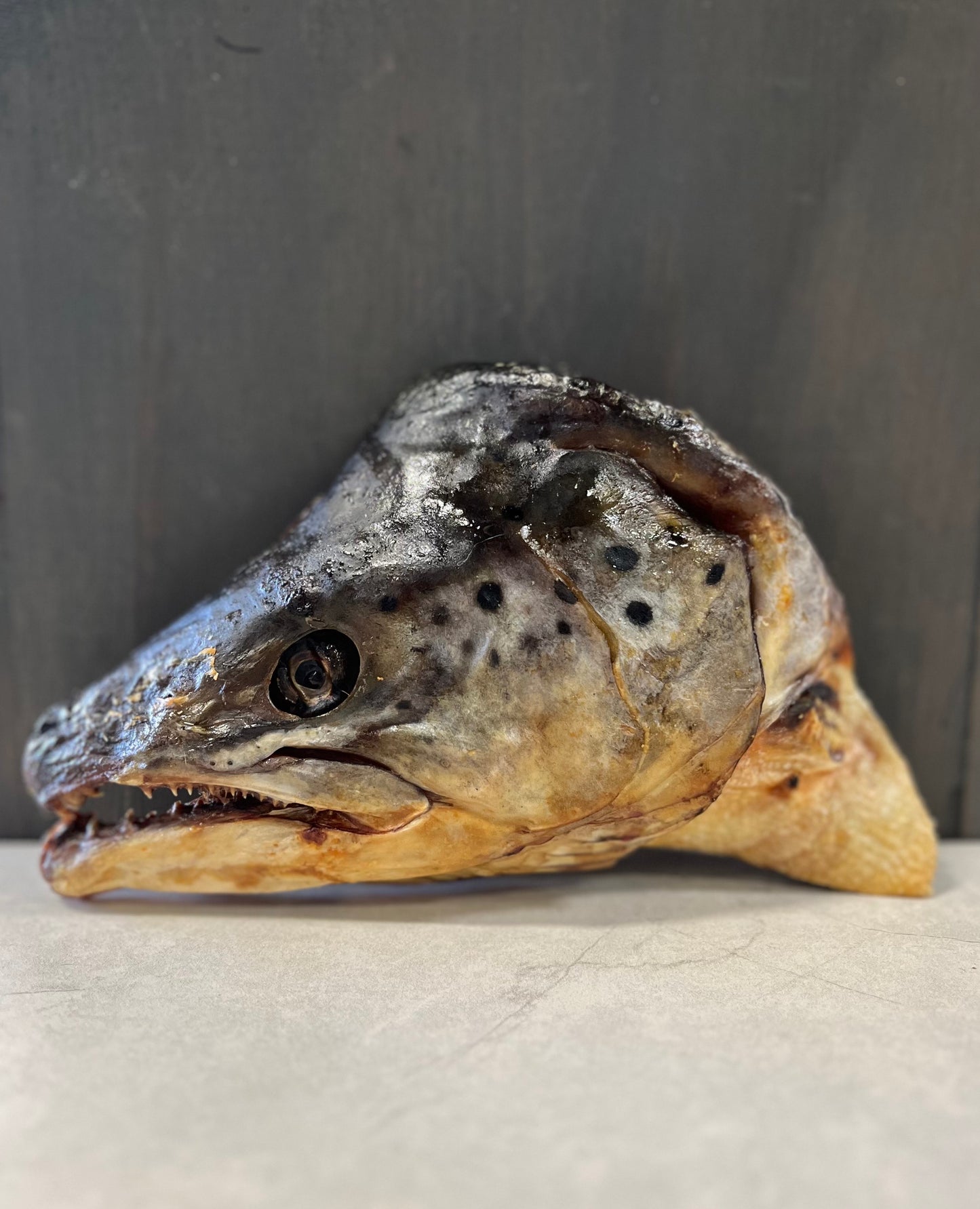 Dehydrated Salmon Heads