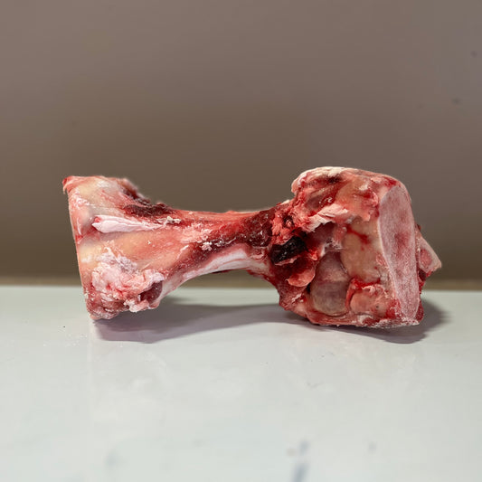 Beef Mammoth Bones (per piece)