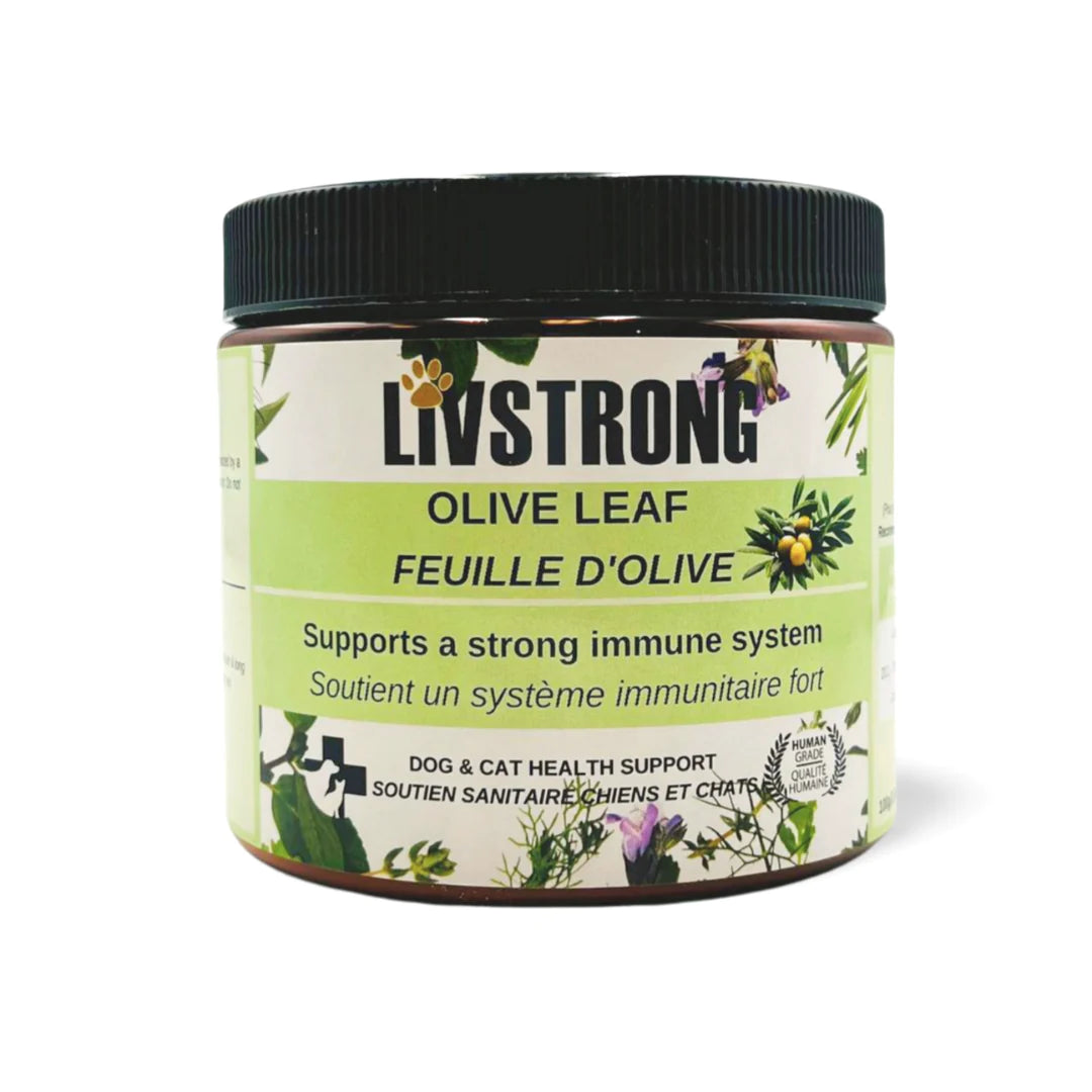 Livstrong Olive Leaf