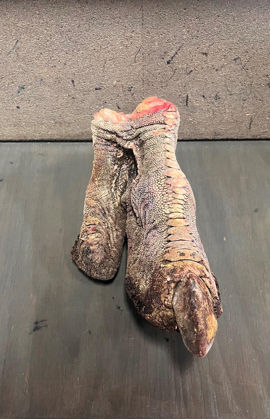 Ostrich Foot (per piece)