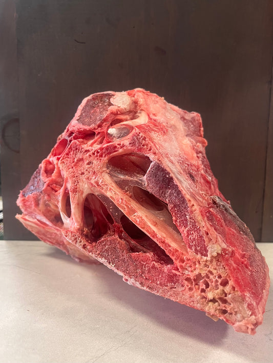 Assorted Ostrich Bones - 3lb Bags