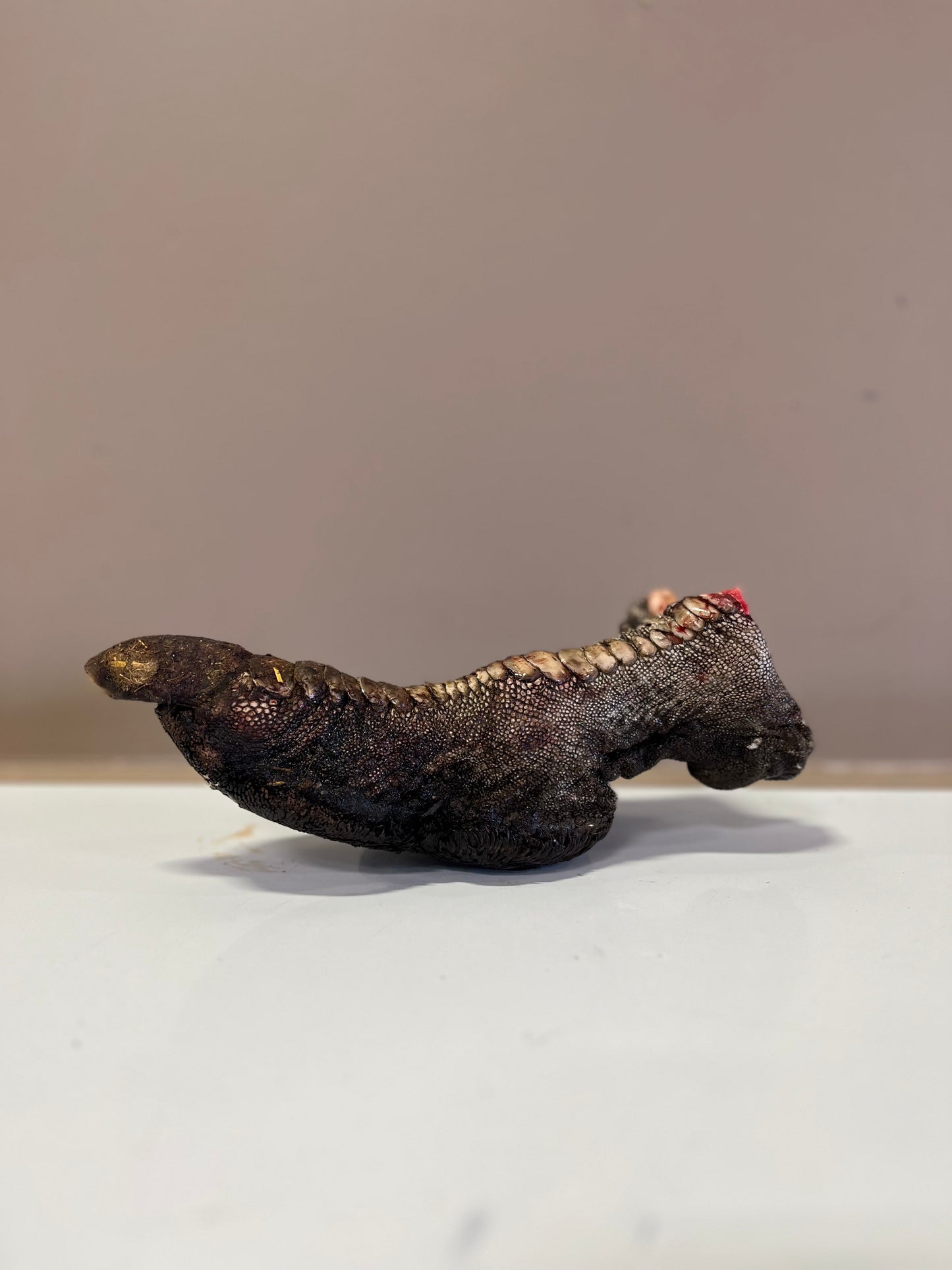 Ostrich Foot (per piece)