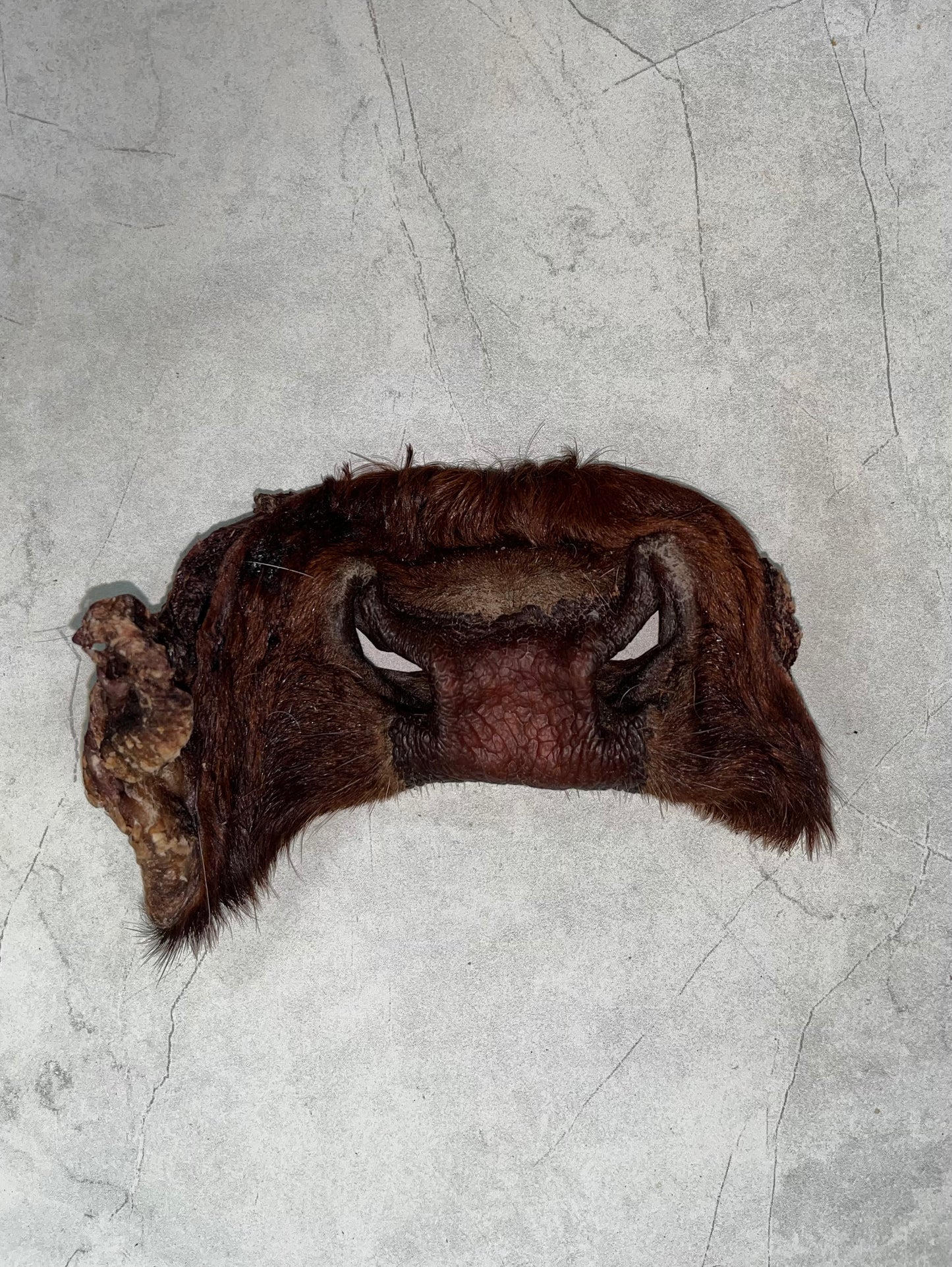 Dehydrated Beef Snouts