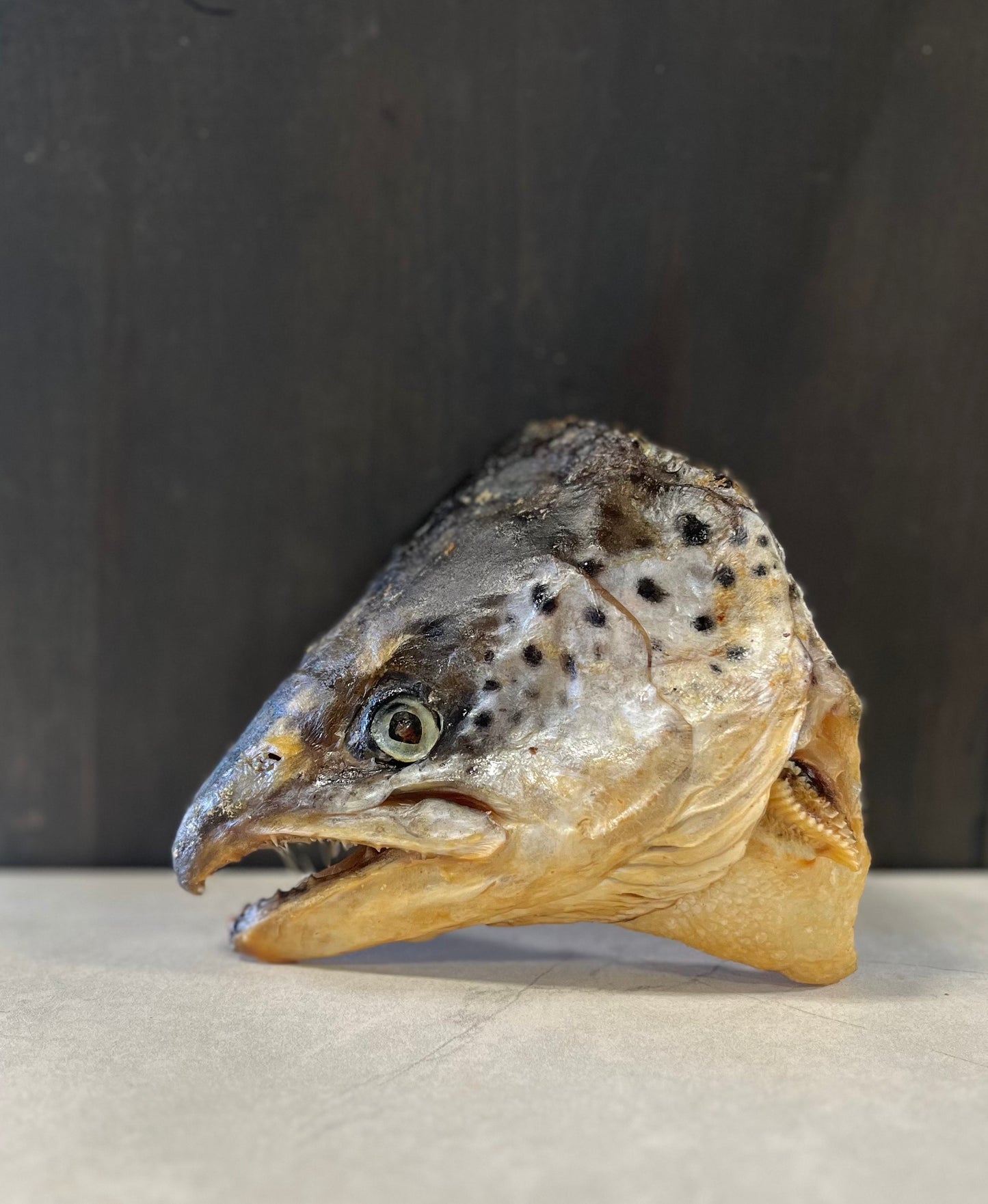 Dehydrated Salmon Heads