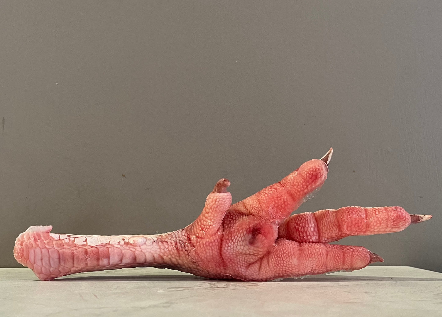 Turkey Feet