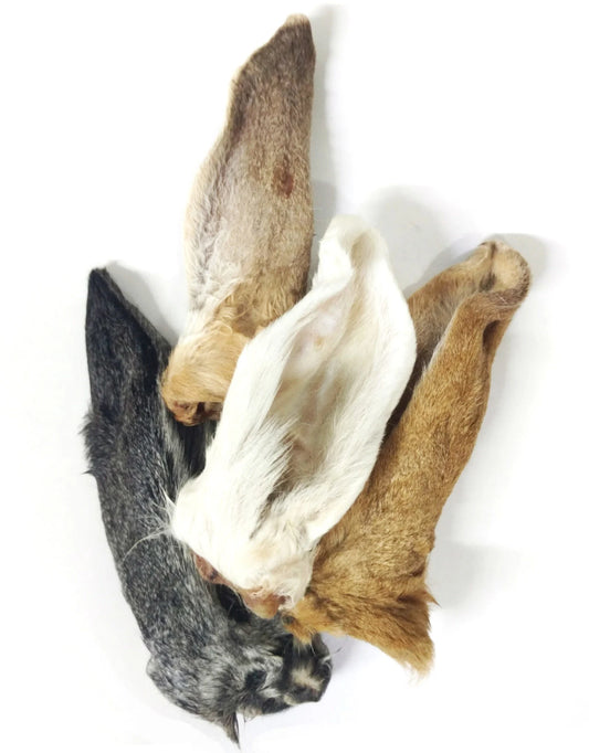 Dehydrated Rabbit Ears (Individual)