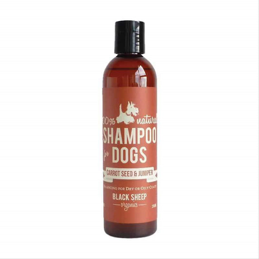 Carrot Seed & Juniper Dog Shampoo - Black Sheep Organics