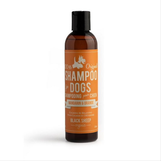 Mandarin & Orange Dog Shampoo - Black Sheep Organics
