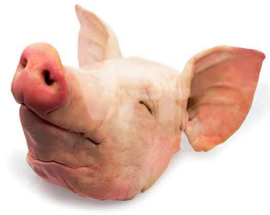 Pig Heads