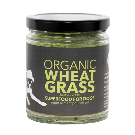 organic-wheatgrass-superfood-for-dogs-519669_540x